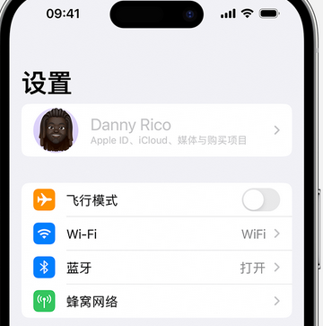 张湾appleID维修服务iPhone设置中Apple ID显示为灰色无法使用 