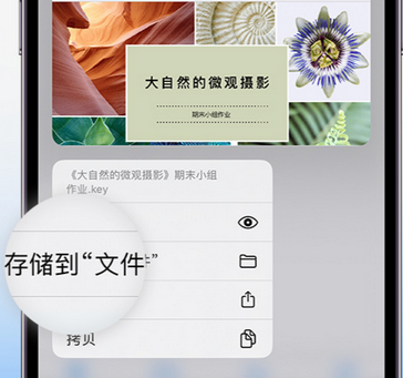 张湾apple维修中心分享iPhone文件应用中存储和找到下载文件