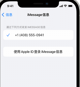 张湾apple维修iPhone上无法正常发送iMessage信息