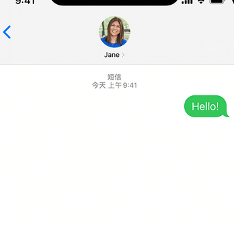 张湾apple维修iPhone上无法正常发送iMessage信息