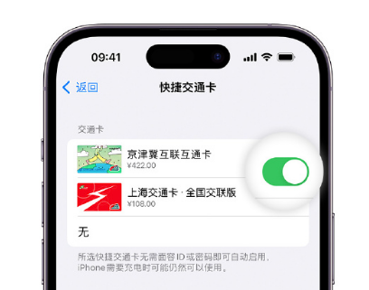 张湾apple维修点分享iPhone上更换Apple Pay快捷交通卡手绘卡面 