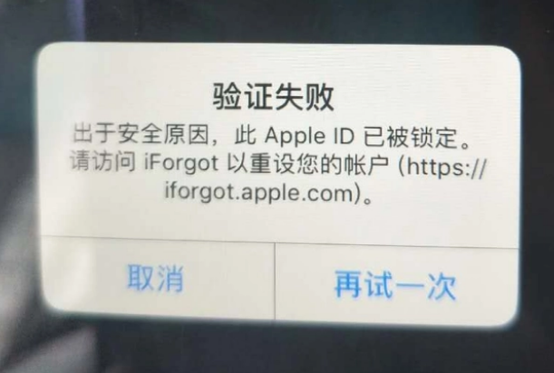 张湾iPhone维修分享iPhone上正常登录或使用AppleID怎么办 