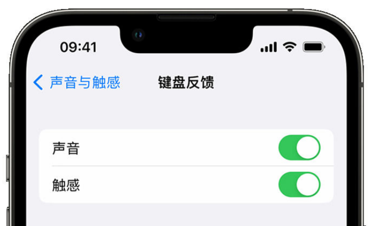 张湾苹果手机维修分享iPhone 14触感键盘使用方法 