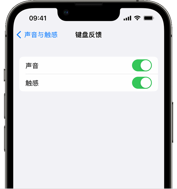 张湾苹果14维修店分享如何在 iPhone 14 机型中使用触感键盘 