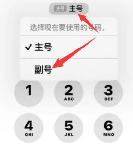 张湾苹果14维修店分享iPhone 14 Pro Max使用副卡打电话的方法 