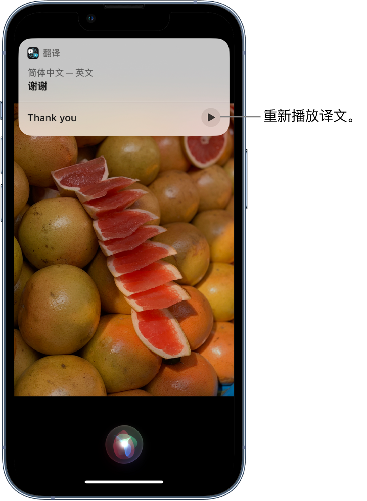 张湾苹果14维修分享 iPhone 14 机型中使用 Siri：了解 Siri 能帮你做什么 