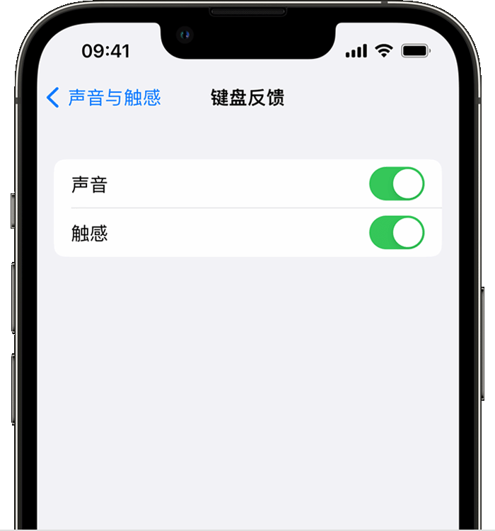 张湾苹果14维修分享iPhone 14 系列机型如何开启键盘声音或触感反馈 