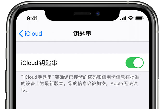 张湾苹果手机维修分享在 iPhone 上开启 iCloud 钥匙串之后会储存哪些信息 