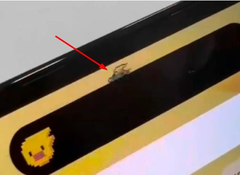 张湾苹果14维修分享iPhone 14 Pro Max灵动岛怎么养宠物 