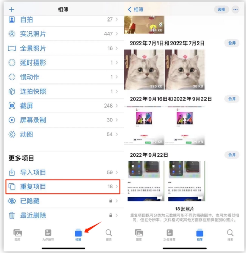 张湾苹果手机维修分享iOS 16 中相册重复项目功能使用方法 