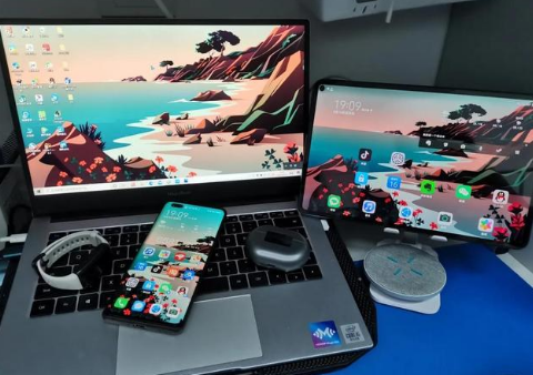 张湾苹果手机维修分享为什么iPad屏幕更大价格却比iPhone低 