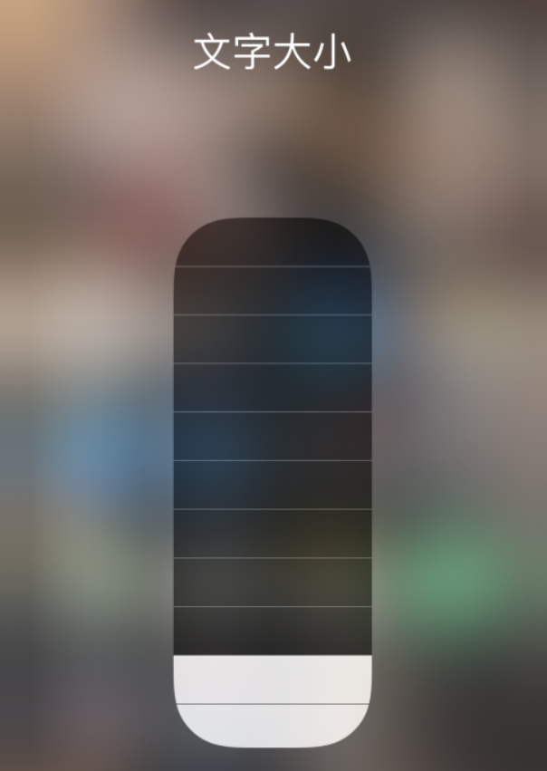 张湾苹果手机维修分享小技巧：在 iPhone 控制中心快速调节字体大小 
