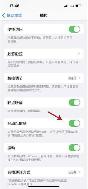 张湾苹果手机维修分享iPhone手机如何设置摇一摇删除文字 