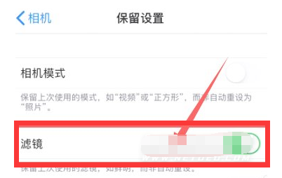 张湾苹果13维修分享iPhone13拍照有绿点是怎么回事 