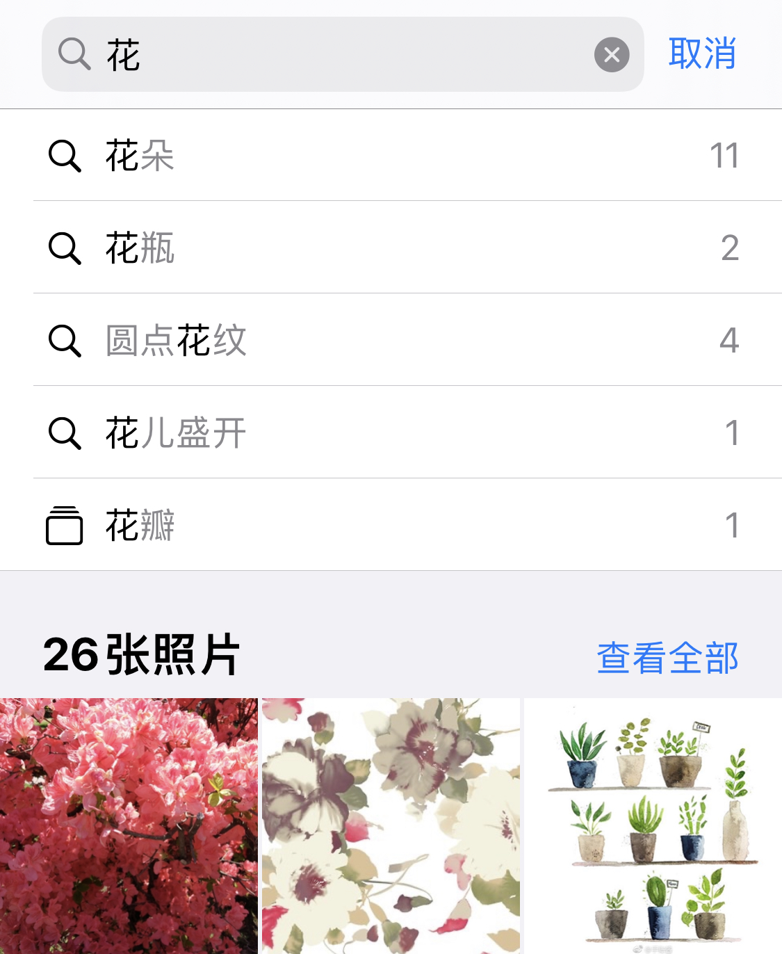 张湾苹果手机维修分享iPhone 小技巧 