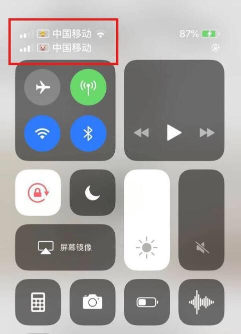 张湾苹果手机维修分享为 iPhone 12 双卡设置标签 
