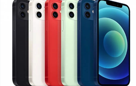 张湾苹果维修点分享iPhone12 Pro Max进水维修 